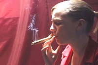 Cigars Plus!