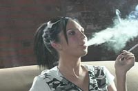 {short description of image}