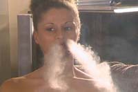 {short description of image}