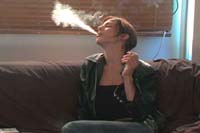 {short description of image}