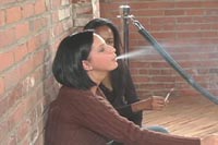 {short description of image}